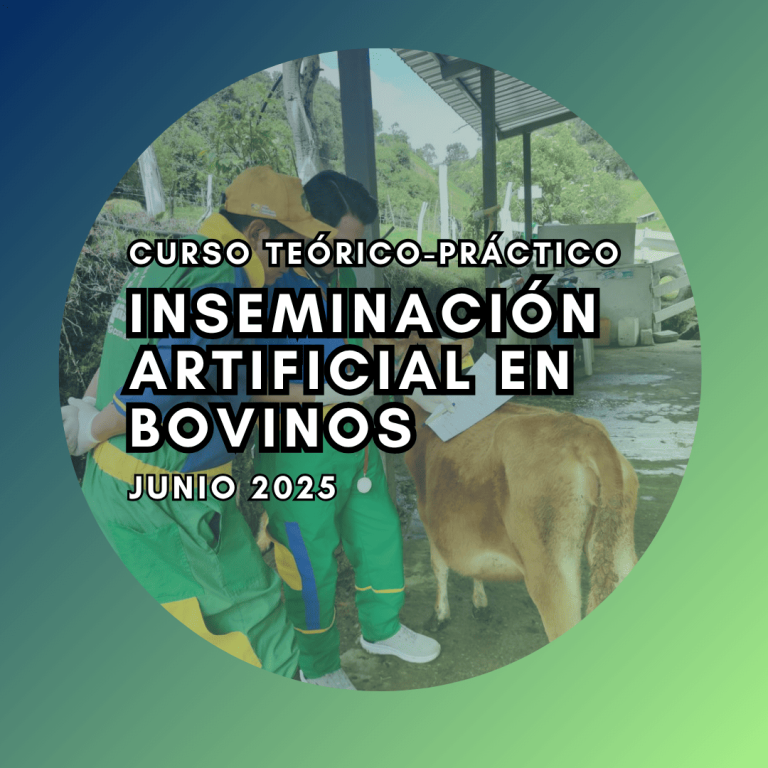 Curso Teórico-Práctico De Inseminación Artificial En Bovinos Junio 2025