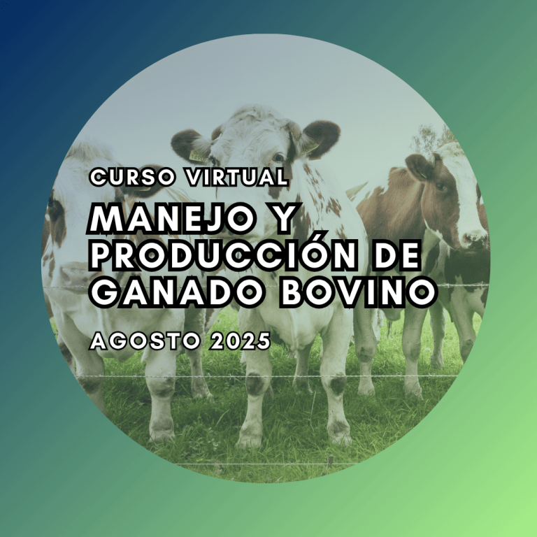 CURSO VIRTUAL DE MANEJO Y PRODUCCIÓN DE GANADO BOVINO-Agosto 2025