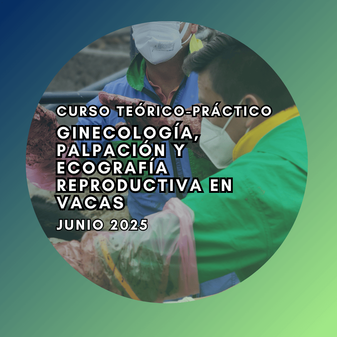 Curso Teórico-Práctico de Ginecología, Palpación y Ecografía Reproductiva en vacas Junio 2025