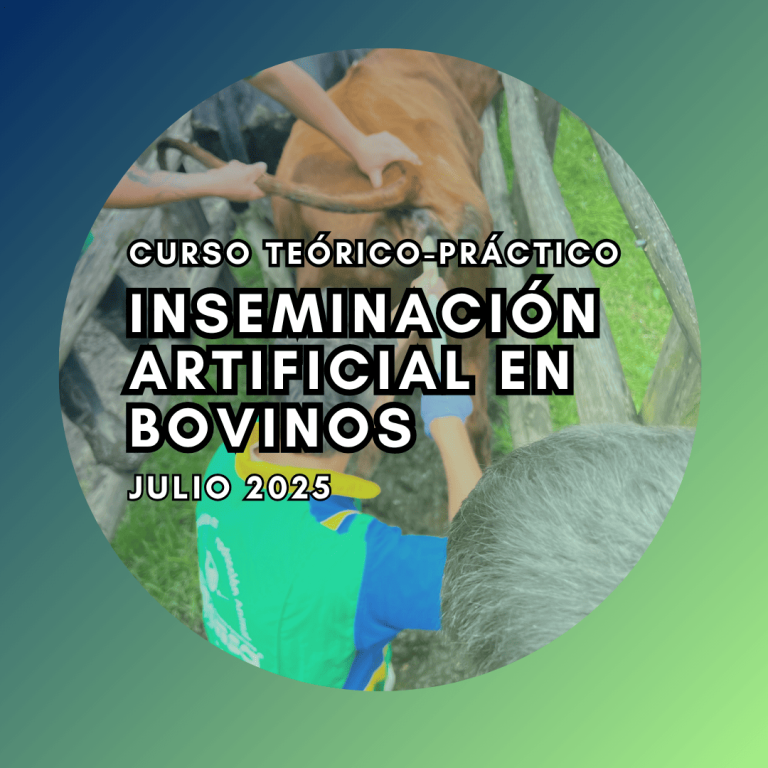 Curso Teórico-Práctico De Inseminación Artificial En Bovinos Julio 2025