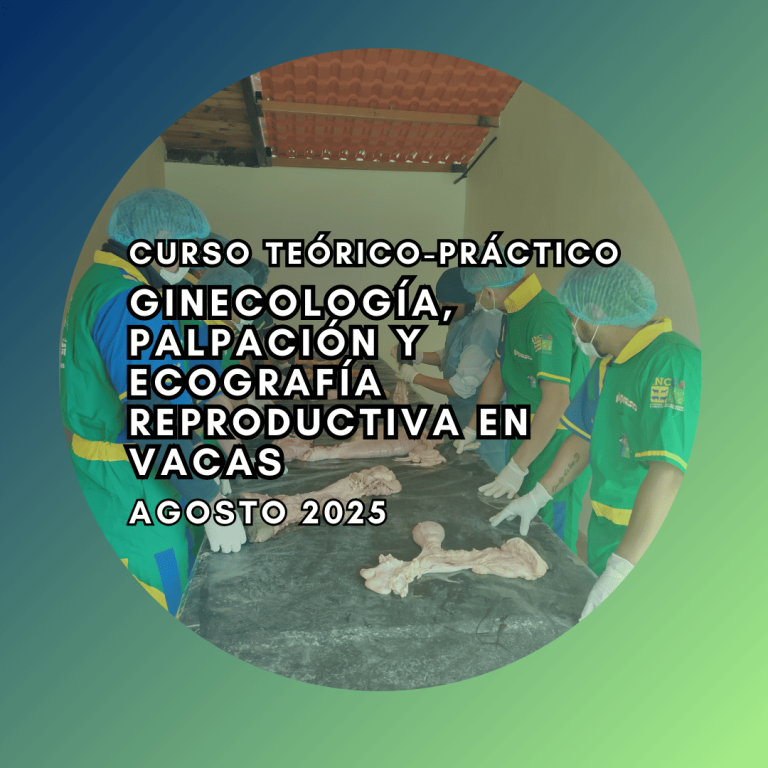 Curso Teórico-Práctico de Ginecología, Palpación y Ecografía Reproductiva en vacas Agosto 2025