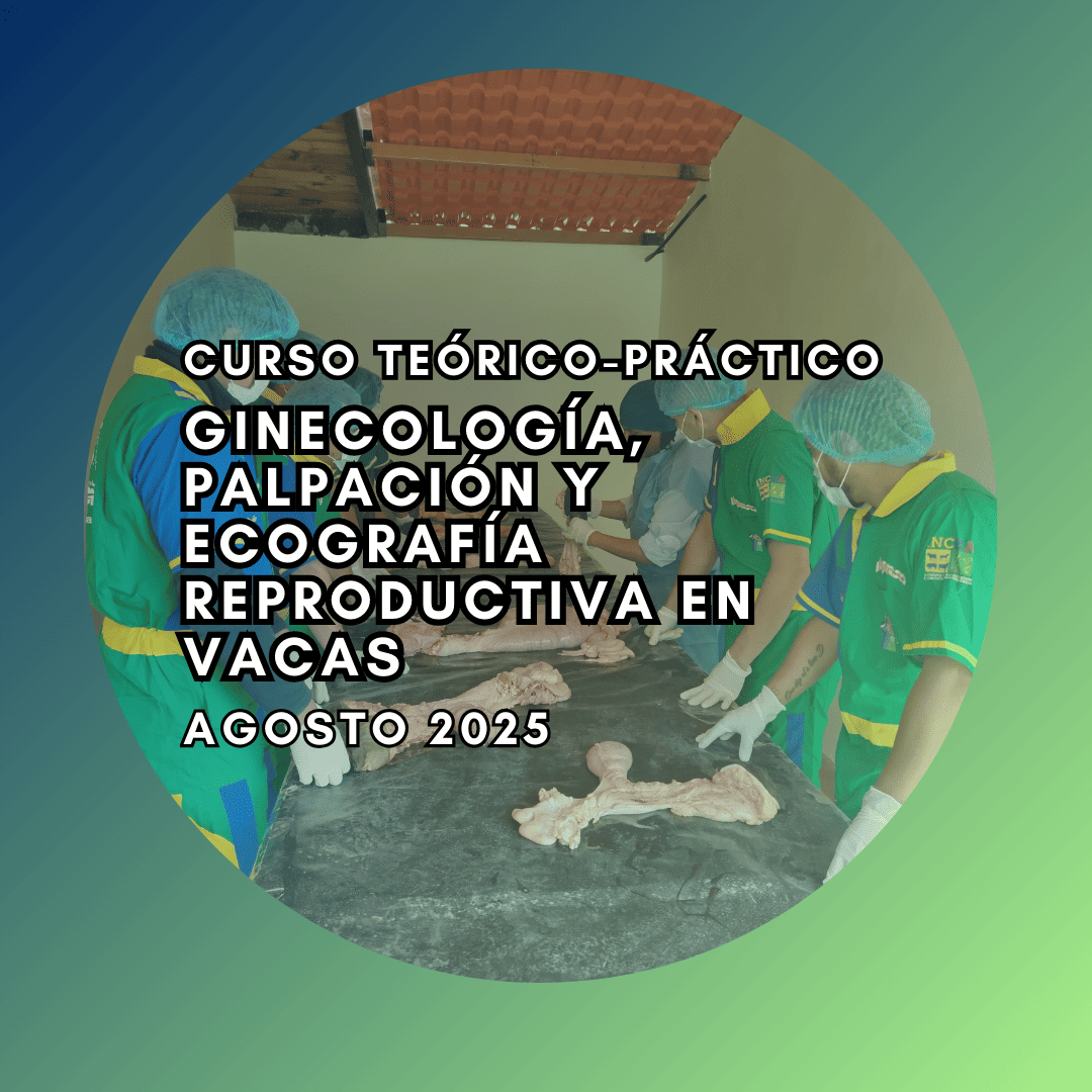 Curso Teórico-Práctico de Ginecología, Palpación y Ecografía Reproductiva en vacas Agosto 2025