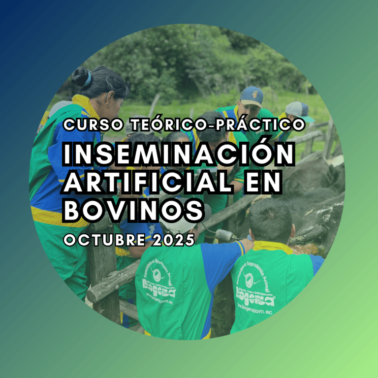 Curso Teórico-Práctico De Inseminación Artificial En Bovinos Octubre 2025