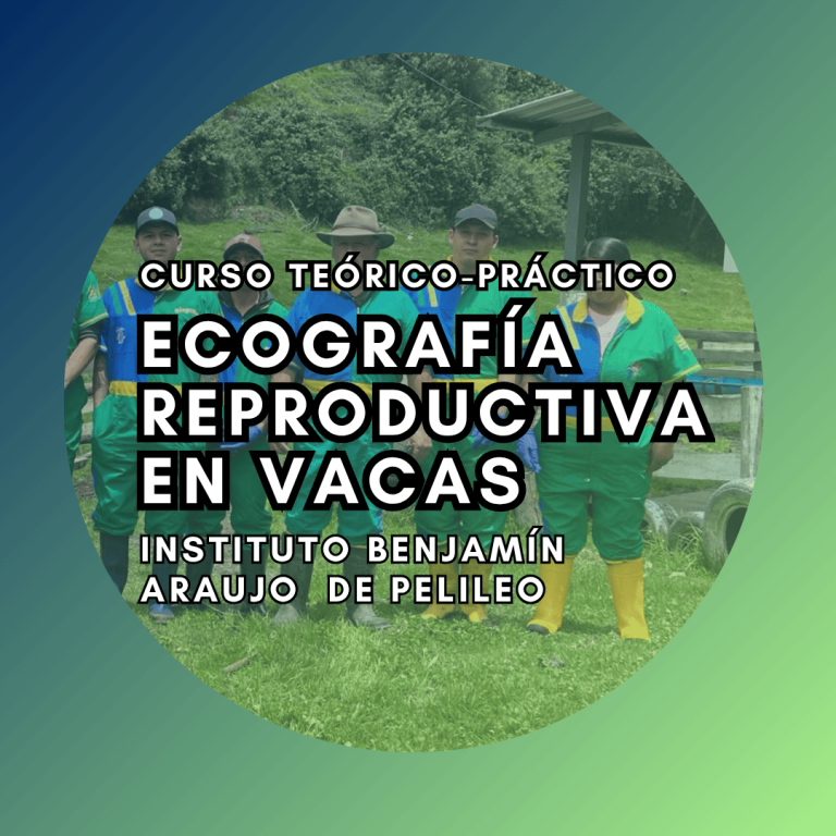 Curso Teórico-Práctico de de Ecografía Reproductiva en vacas-Instituto benjamín Araujo de Pelileo
