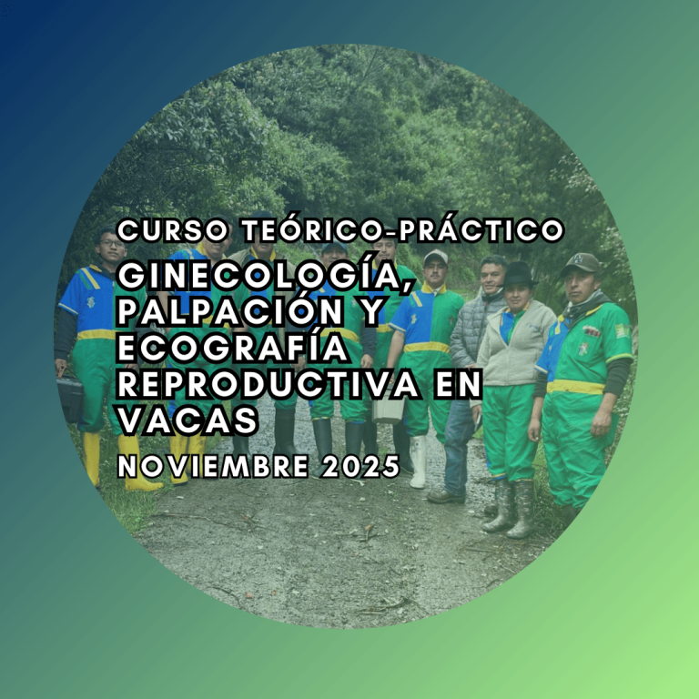 Curso Teórico-Práctico de Ginecología, Palpación y Ecografía Reproductiva en vacas Noviembre 2025