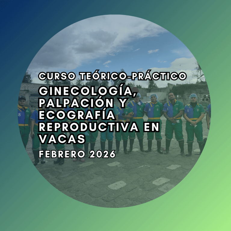 Curso Teórico-Práctico de Ginecología, Palpación y Ecografía Reproductiva en vacas Febrero 2026