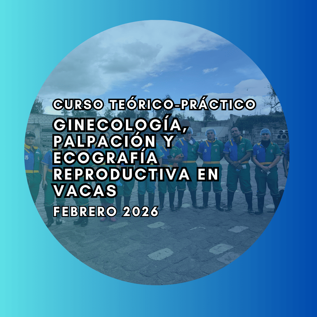 Curso Teórico-Práctico de Ginecología, Palpación y Ecografía Reproductiva en vacas Febrero 2026