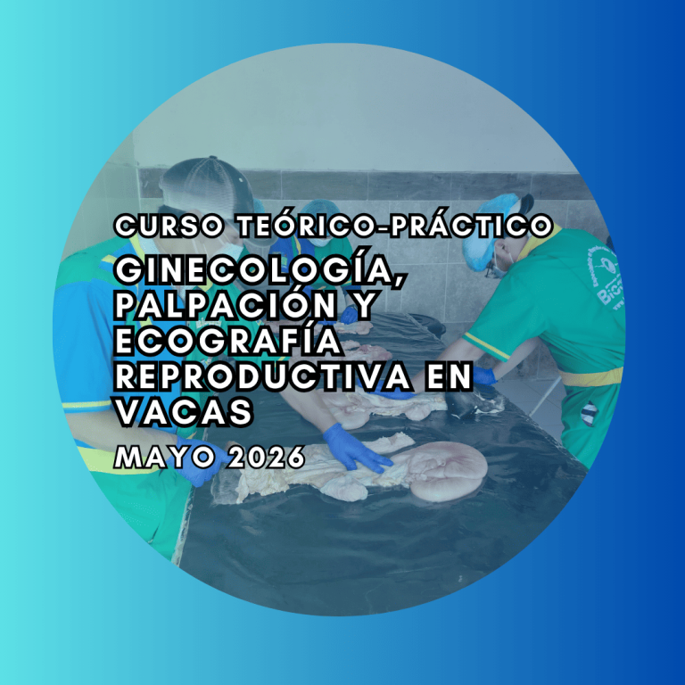Curso Teórico-Práctico de Ginecología, Palpación y Ecografía Reproductiva en vacas Mayo 2026