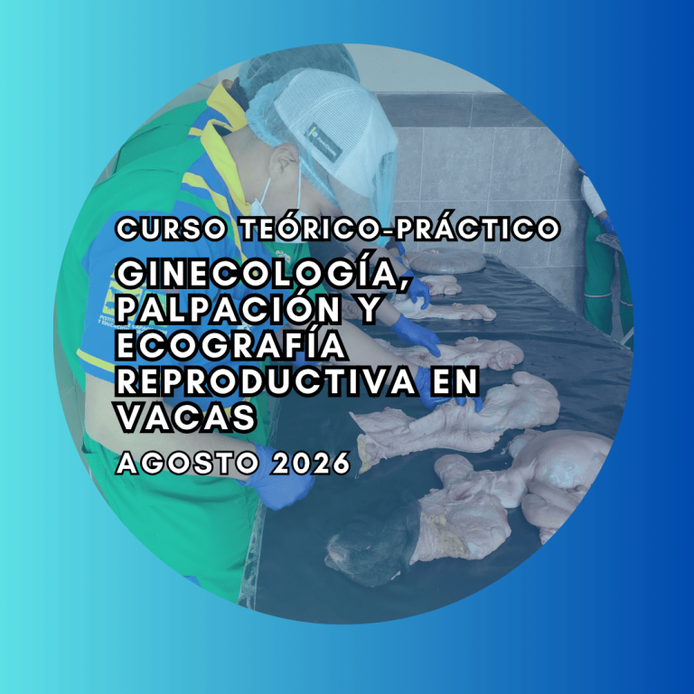 Curso Teórico-Práctico de Ginecología, Palpación y Ecografía Reproductiva en vacas Agosto 2026